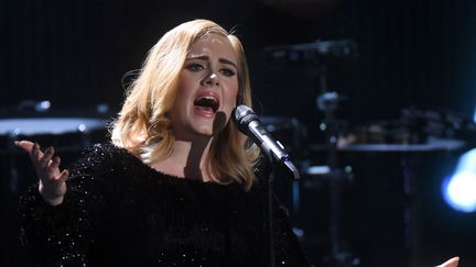 Adele sur scène à Huerth, en Allemagne, le 6 décembre 2015
 (Henning Kaiser / AFP)