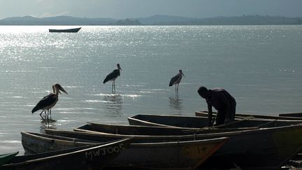 Un pécheur ougandais prépare ses filets dans le petit port de Kasensero, sur les rives du lac Victoria, le 21 février 2014. Le poisson se fait de plus en plus rare. (Photo AFP/Michèle Sibiloni)