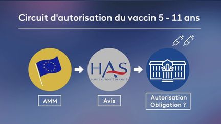 Vaccination des enfants : quel calendrier pour la France ?