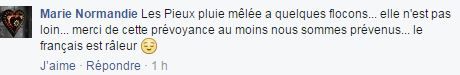 &nbsp; (FACEBOOK / FRANCETV INFO)