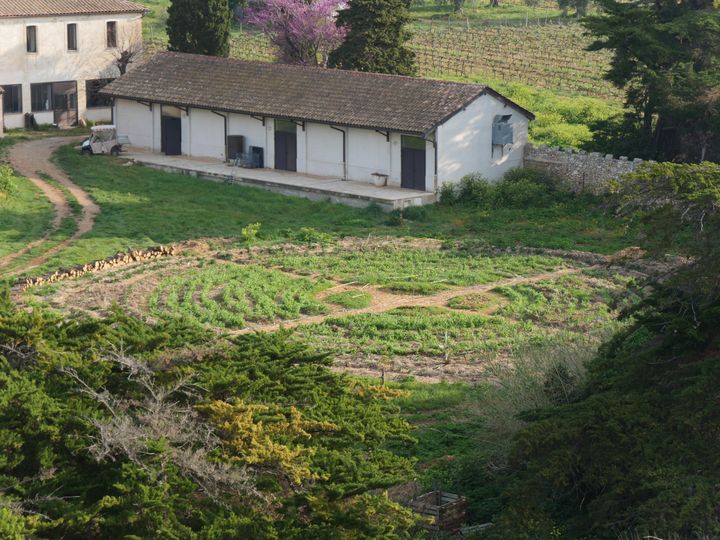 Le potager circulaire au printemps.&nbsp; (ISABELLE MORAND / RADIO FRANCE / FRANCE INFO)