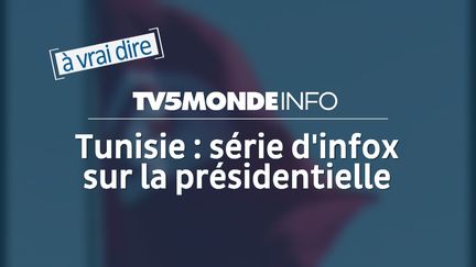 capture d'écran (TV5MONDE)