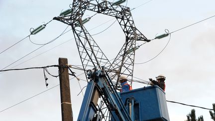 Un salari&eacute; d'ERDF r&eacute;parant une ligne tomb&eacute;e apr&egrave;s la chute d'un arbre, le 5 janvier 2012 dans le Nord.&nbsp; (FRANÇOIS LO PRESTI / AFP)