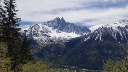 Le massif du Mont-Blanc vu depuis Chamonix (Haute-Savoie), le 20 juin 2021. (ANABELLE GALLOTTI / RADIO FRANCE)