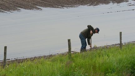 Un agriculteur s'occupe d'un champ de ma&iuml;s, le 21 mai 2013 &agrave; Angers (Maine-et-Loire). ( MAXPPP)