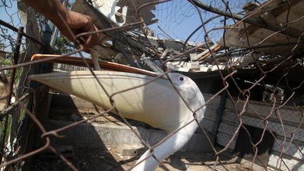 une cigogne re&ccedil;oit sa nourriture au zoo de Bissan, dans la ville de Beit Hanun au&nbsp;nord de la bande de Gaza, le 17 ao&ucirc;t 2014. (MAJDI FATHI / NURPHOTO / AFP)