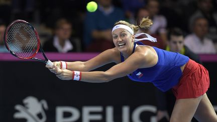 Petra Kvitova manquera l'Open d'Australie et Roland Garros (PATRICK HERTZOG / AFP)