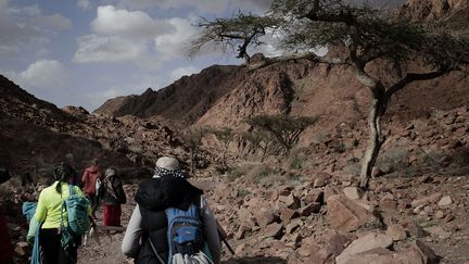 Depuis, entre 2016 et 2018, le nombre de marcheurs y a été multiplié par dix, pour atteindre un millier de personnes. Les randonneurs peuvent marcher à travers déserts et montagnes pendant 42 jours. Les huit tribus se partagent le marché. Mais tous les guides sont alors des hommes. (SIPA/AP/NARIMAN EL-MOFTY)