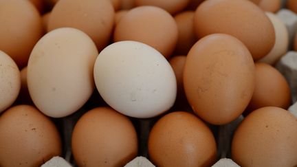 Le ministère allemand de l'Agriculture a estimé dans un communiqué "qu'au moins trois millions d'œufs contaminés" en provenance des Pays-Bas avaient été livrés en Allemagne.&nbsp; (FRANK MAY / PICTURE ALLIANCE / AFP)