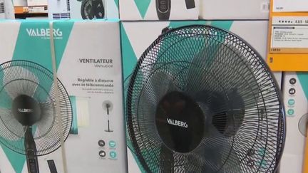 Mardi 14 juin, alors que la France subit des températures élevées, les climatiseurs et les ventilateurs sont recherchés pour rafraîchir l'air. (FRANCE 2)