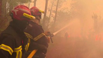 Incendies en Gironde : les pompiers parlent des feux comme "un monstre incontrôlable"