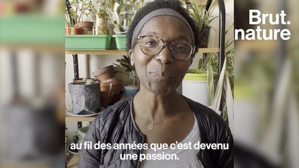 “J’ai 4 m² sur le balcon, que j’essaie vraiment d’utiliser au maximum. Dans cet appartement, j’ai des plantes partout, dans toutes les pièces. Cet espace ressemble plus à une jardinerie qu’à une chambre.”