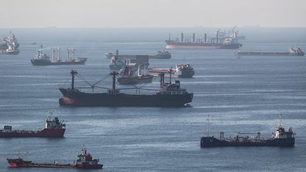 Des navires de transport chargés de céréales en Mer de&nbsp;Marmara, au large d'Istanbul le 22 octobre 2022. (ERDEM SAHIN / EPA)