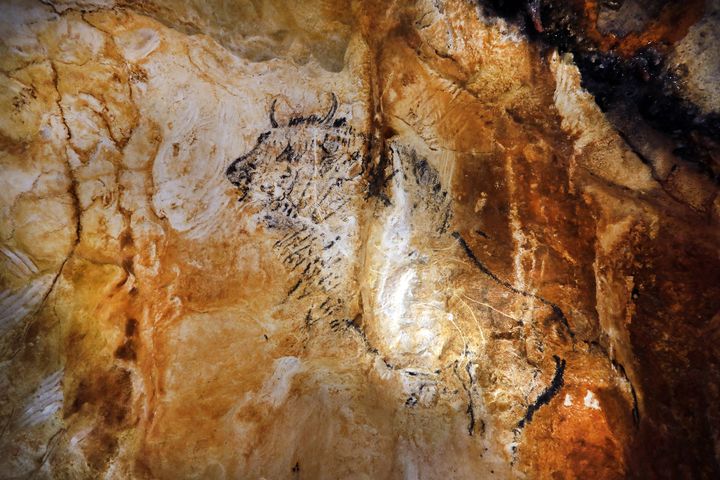 L'un des animaux peints sur les parois de la grotte de Cosquer.&nbsp; (PATRICK AVENTURIER/SIPA)