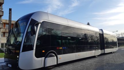 Le Fébus, le bus à hydrogène, à Pau (Pyrénées-Atlantiques). (SUZANNE SHOJAEI / FRANCE-BLEU BÉARN)