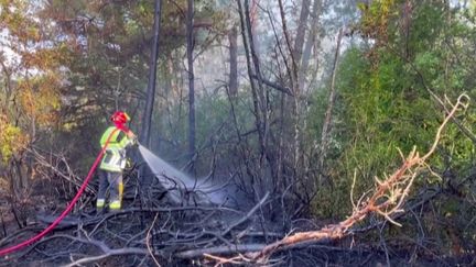 Incendie en Aveyron : 2000 personnes évacuées en pleine nuit