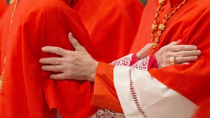 Deux cardinaux se saluent au Vatican. Photo d'illustration. (RICCARDO DE LUCA / MAXPPP)