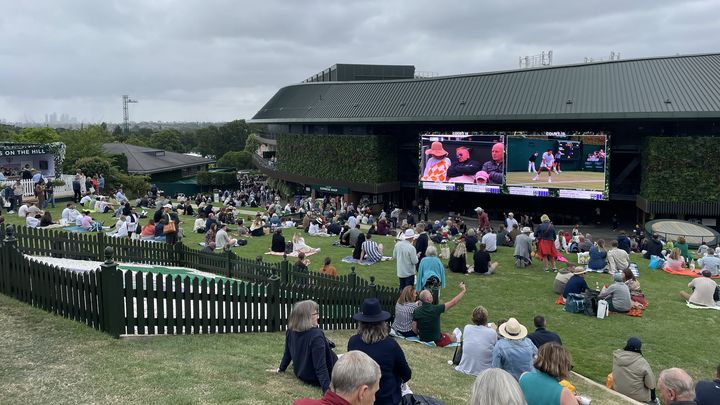 "The Hill", ou "Murray Mound", à Wimbledon (Londres), le 2 juillet 2024. (Sasha Beckermann/France info: sport)