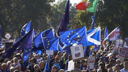 Des manifestants à Londres, le 20 octobre 2018. (NIKLAS HALLE'N / AFP)