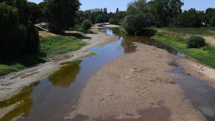 Le Louet, un bras de la Loire qui coule à Rochefort-sur-Loire (Maine-et-Loire), quasiment à sec le 15 juillet 2019. (JOSSELIN CLAIR / MAXPPP)