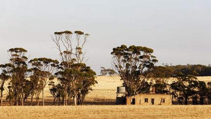 Beaucoup d'enfants ont servi de main d’œuvre dans des conditions proches de l’esclavage, notamment dans des fermes, par exemple au Canada ou en Australie (ici, une ferme abandonnée de l'Ouest australien). (PAUL MAYALL / PICTURE ALLIANCE)