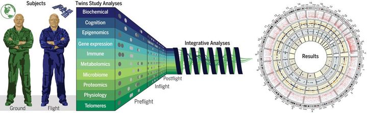 Les chercheurs ont réalisé une batterie de tests sur les deux jumeaux afin de mettre en lumière les multiples changements occasionnés par un vol spatial. (NASA / SCIENCE)