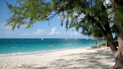 Une&nbsp;plage&nbsp;dans&nbsp;les îles Turks-et-Caïcos près des Bahamas, le 25 septembre 2016.&nbsp; (DIMITRIOS KAMBOURIS / GETTY IMAGES NORTH AMERICA)