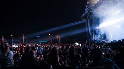 Image d'illustration. Concert de&nbsp;Major Lazer pendant le festival Rock-en-Seine en 2019.&nbsp; (AFP)