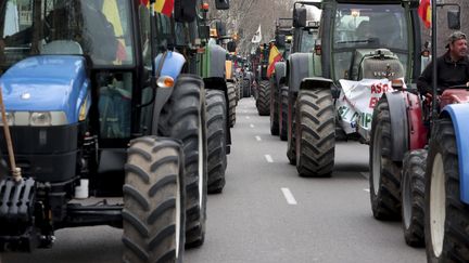 Une manifestation d'agriculteurs à Madrid, en Espagne, le 21 février. (JUAN CARLOS ROJAS / JUAN CARLOS ROJAS)