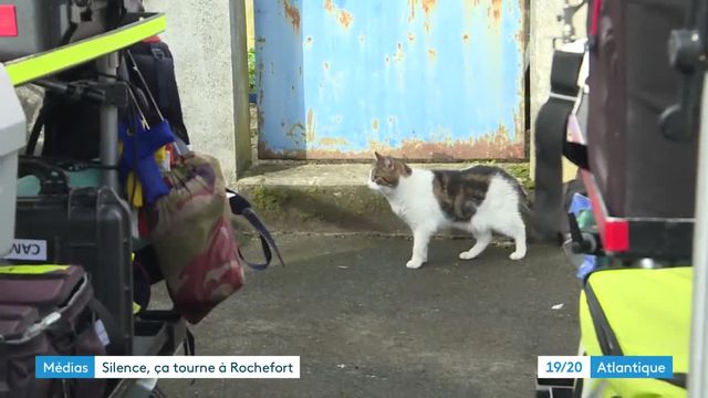 Téléfilm Mystère Rochefort équipe technique