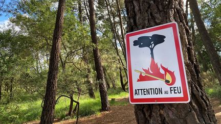 L'accès est interdit dans sept massifs du Var et des Bouches-du-Rhône. (NOEMIE GUILLOTIN / RADIOFRANCE)