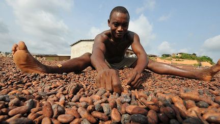 Un travailleur dans une coopérative agricole. (Kambou Sia / AFP)