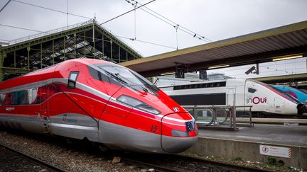 Un train de la Trenitalia au côté d'un train de la SNCF, gare de Lyon à Paris le 20 décembre 2021 (BRUNO LEVESQUE / MAXPPP)