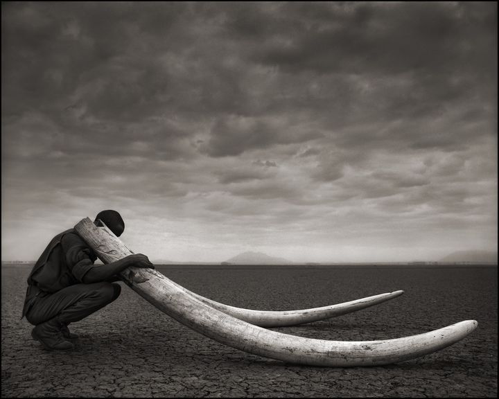 &nbsp; (© Nick Brandt. Courtesy of a galerie, Paris)