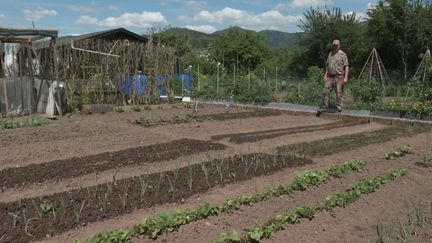 Pouvoir d’achat : les jardins familiaux ont de plus en plus de succès