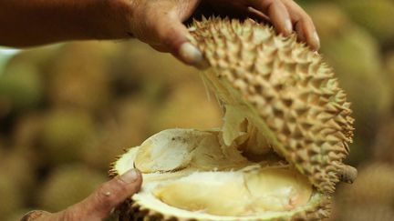 La Chine rêve de cultiver un fruit à l'odeur de chaussettes de sports : le durian