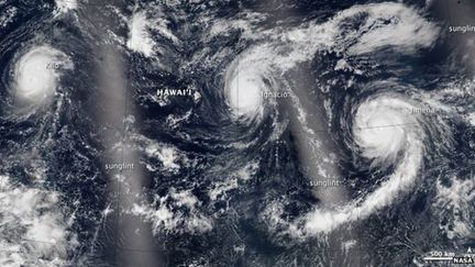 &nbsp; (Trois tempêtes de catégorie 4 repérées en même temps dans le Pacifique. © NASA)