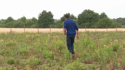 Agriculteurs / riverains : une cohabitation sous tension