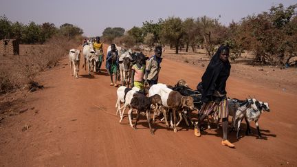 Des habitants quittent la petite ville de Barsalogho, au nord du Burkina Faso, le 27 janvier 2020. (OLYMPIA DE MAISMONT / AFP)