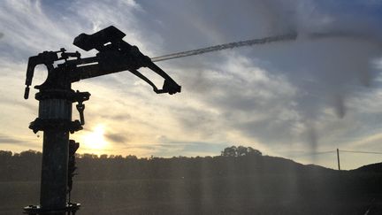 Un arroseur irrigue un champ au Bugue (Dordogne), le 25 juillet 2015. (AURÉLIEN ACCART / FRANCE-INFO)