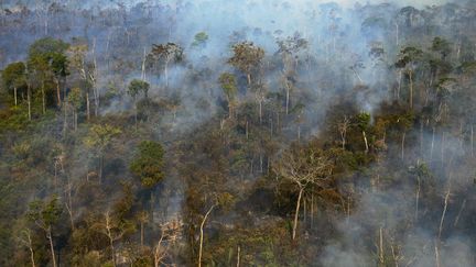 Une vue aérienne de la forêt amazonienne au Brésil, le 10 août 2020. (FLORIAN PLAUCHEUR / AFP)