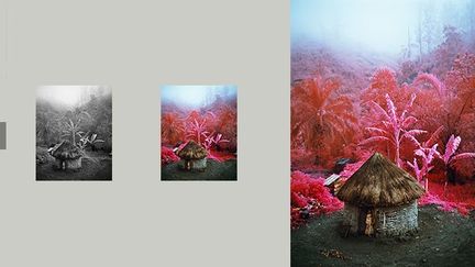 Richard Mosse explique ce parti-pris radical : «En subvertissant les codes du photojournalisme, je cherche à repousser les limites de la beauté. C'est une autre façon de représenter le conflit. Je recherche la tension entre art, fiction et journalisme.» (Richard Mosse)