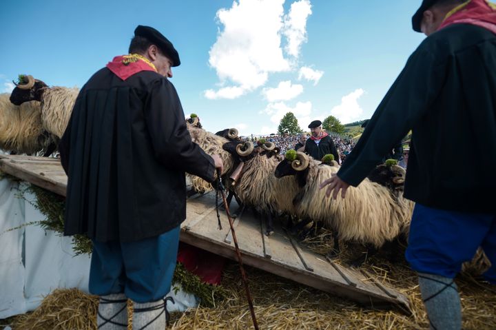 Des bergers conduisent leurs montons sur la scène du théâtre de Soule pour la pastorale à Pagolle. (IROZ GAIZKA / AFP)