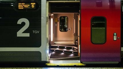 Un train à la gare Montparnasse à Paris le lendemain de Noël. (MATHIEU MENARD / HANS LUCAS / AFP)