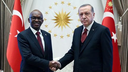 Le chef de la diplomatie burundaise, Allain Aimé Nyamitwe, reçu par le président turc Recep Tayyip Erdogan au complexe présidentiel à Ankara, le 14 juin 2017.  (Turkish Presidency/Yasin Bulbul/Anadolu Agency )