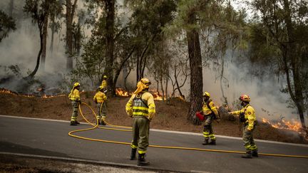 Des pompiers de l'archipel des Canaries, à la lutte contre les flammes, le 20 août 2023. (ANDREAS GUTIERREZ / ANADOLU AGENCY / AFP)