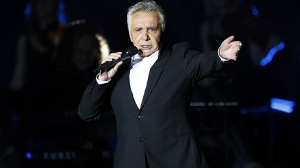 Le chanteur Michel Sardou en concert à Bercy le 12 décembre 2012. (PIERRE VERDY / AFP)