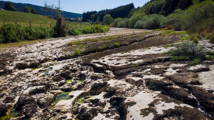 Le Doubs, ici près de La Longeville le 12 août 2018, a totalement disparu par endroits en raison de la sécheresse. (FABRICE COFFRINI / AFP)