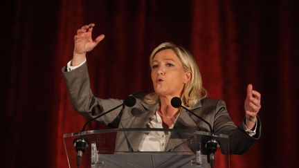 La pr&eacute;sidente du Front national, Marine Le&nbsp;Pen, lors d'un meeting &agrave; H&eacute;nin-Beaumont, le 25 mars 2015. (MICHEL SPRIGLER / AP / SIPA)