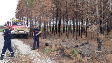 Mission de surveillance des pompiers après les incendies de Landiras (Gironde), en août 2022.&nbsp;
 (REMI BRANCATO / RADIO FRANCE)